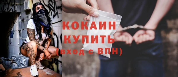 крисы Армянск