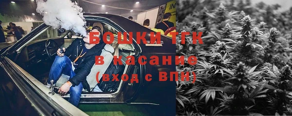 винт Аркадак