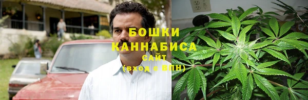 крисы Армянск