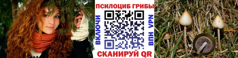 Галлюциногенные грибы мухоморы  Реж 